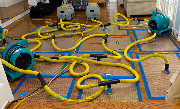 Professional Water Damage Restoration technician working in Sunset, UT
